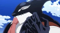 Gang orca