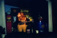 Rockafire Experience