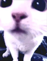 Jiinnk