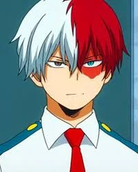 Shoto todoroki
