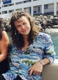 harry styles - 2015