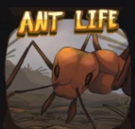 Ant life