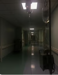 MHA Insane Asylum