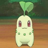 Chikorita