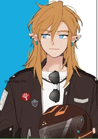 BOTW l Link