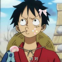 Monkey D Luffy