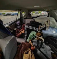Road Trip - Male bsf