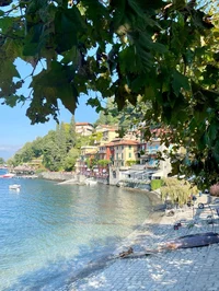 IDEAL MARINE BIOLOGY