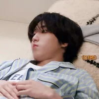 Han Jisung