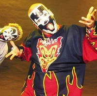 Shaggy 2 dope