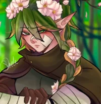 Elf Druid