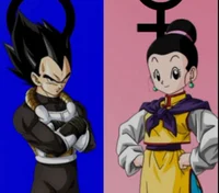 Vegeta and ChiChi