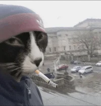 Lil jimbob