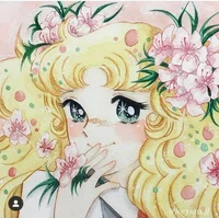 Candice White Andrew