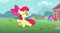 Apple Bloom