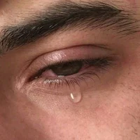 OC - NICHOLAS HARPER