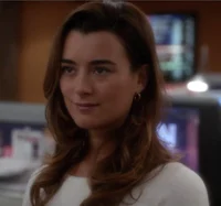 Ziva David 