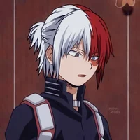 Shoto Todoroki 
