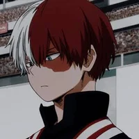 Shoto Todoroki