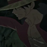 Monkey D Luffy