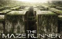 Maze runner