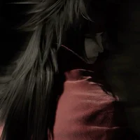 Vincent Valentine 