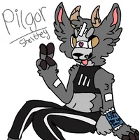 PILGOR - AU