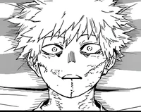 Todoroki Touya