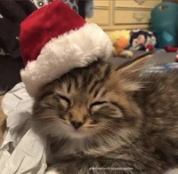 Police station chaos