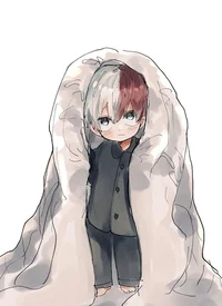 Shoto Todoroki 