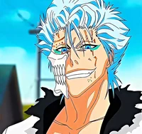 Ichigo vs Grimmjow