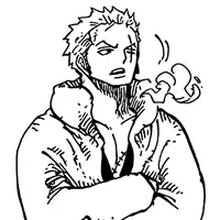 OP Roronoa Zoro
