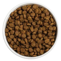 Dog food experement