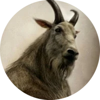 The Goatman