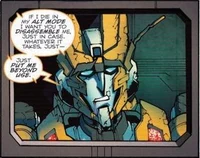 Rung idw