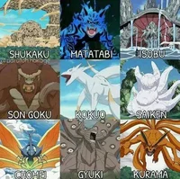 All 9 Kyuubi