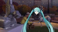 Miku the Zebra