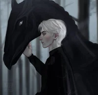 Draco L Malfoy