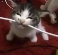 All girls highschool