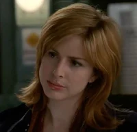 casey novak