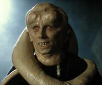 Bib Fortuna 