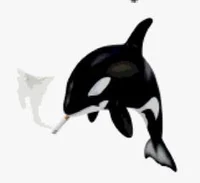 A Smoking Orca