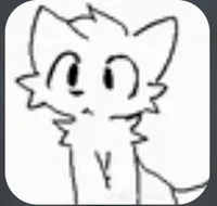 Boykisser girl cat N