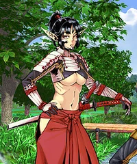 Samurai Elf