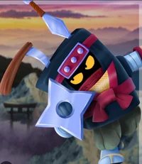 Shinobi Ash