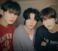 Choi line - txt