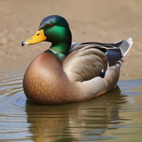Mister Mallard