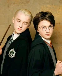 Draco y Harry 