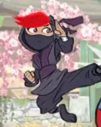 Kira Clumsy ninja