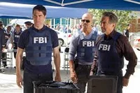 The BAU